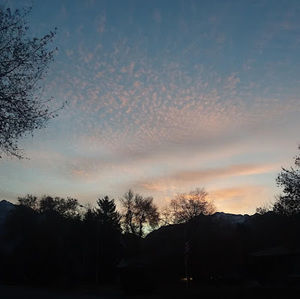 Meet your Posher, Jade